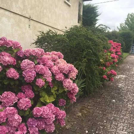 2 Bed Sleeps 4 - Heated Pool Parking * Saint-Romain (Charente)